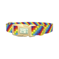 Rainbow Checkered Dog Collar - plastic gold