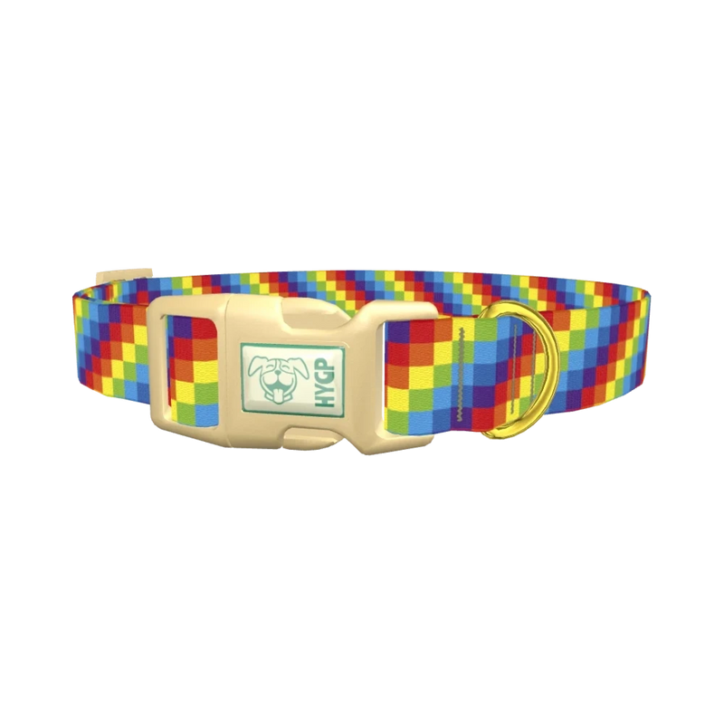 Rainbow Checkered Dog Collar - plastic gold