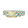 Orange Blue Checkered Dog Collar - plastic gold