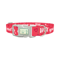 Heart Phrase Dog Collar - plastic silver