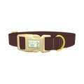  - plastic gold