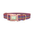 Multicolor Plaid Dog Collar - plastic rose gold