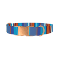 Orange Blue Stripes Dog Collar - metal rose gold