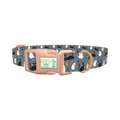 Halloween Cats Ghosts Dog Collar - plastic rose gold