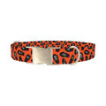Orange Coffin Halloween Dog Collar - metal silver