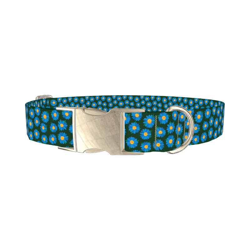 Blue Daisy Floral Dog Collar - metal silver
