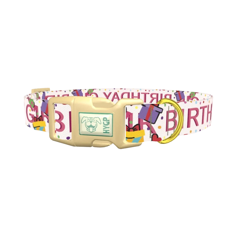 Birthday Celebration Dog Collar - plastic gold