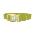  - plastic gold