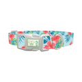 Multi Floral Hibiscus Dog Collar - plastic silver