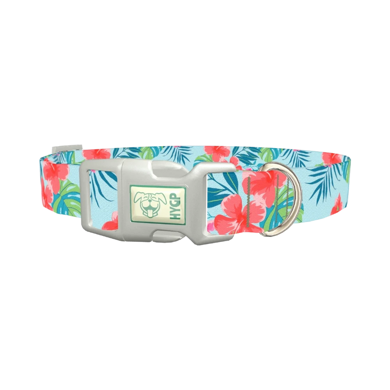 Multi Floral Hibiscus Dog Collar - plastic silver