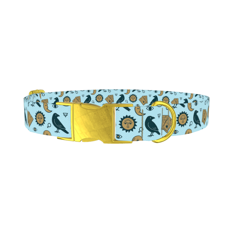 Mystical Crow Dog Collar - metal gold