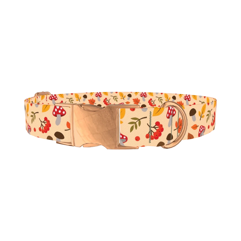 Autumn Leaves and Mushrooms Dog Collar - metal rose gold