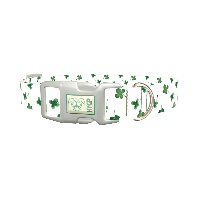 Watercolor Shamrock Dog Collar - plastic silver