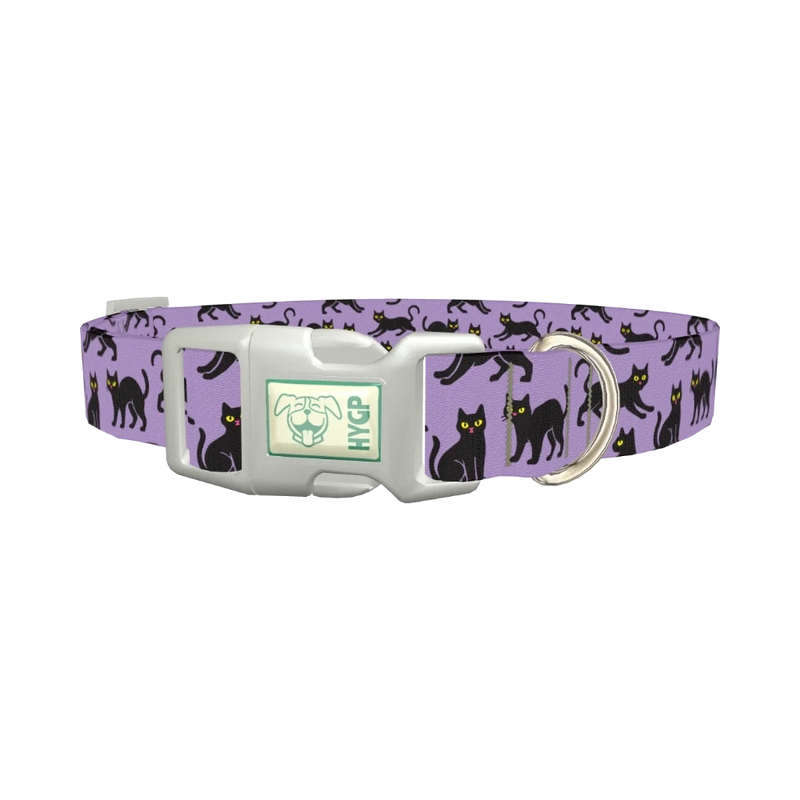 Purple Black Cat Halloween Dog Collar - plastic silver