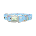 Surfing Dogs Blue Dog Collar - plastic silver