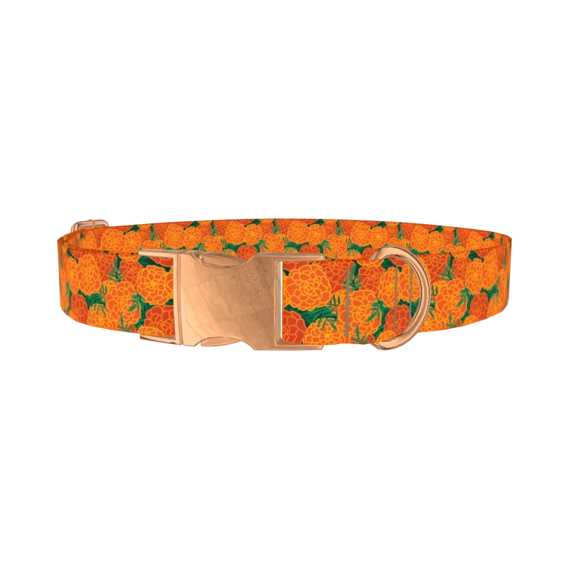 Floral Marigold Dog Collar - metal rose gold