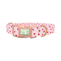 Red Heart Dog Collar - plastic rose gold
