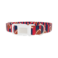 Patriotic Football Dog Collar - plastic silver
