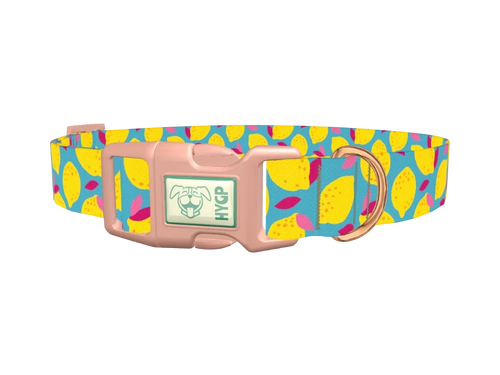 Lemon Fruit Dog Collar