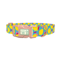 Lemon Fruit Dog Collar - plastic rose gold