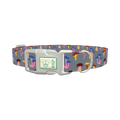 Colorful Mushroom Dog Collar - plastic silver