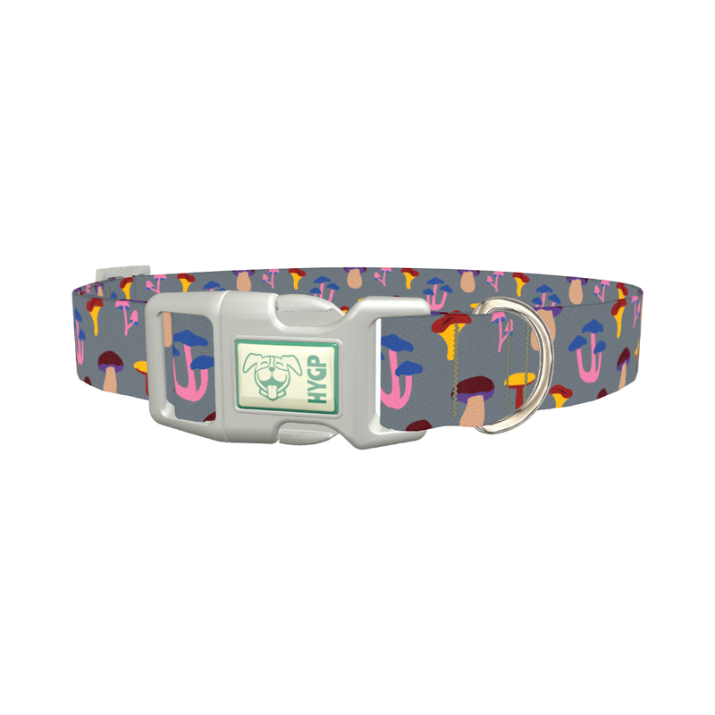 Colorful Mushroom Dog Collar - plastic silver