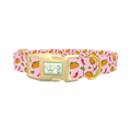 Chili Taco Dog Collar - plastic gold