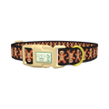 Gothic Gingerbread Dog Collar - plastic gold