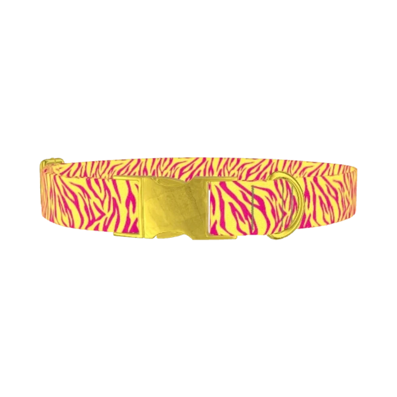 Yellow Zebra Pattern Dog Collar - metal gold