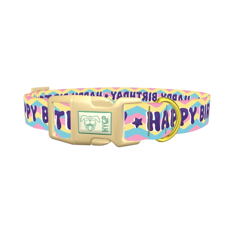 Birthday Chevron Dog Collar - plastic gold