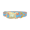 Citrus Slice Dog Collar - plastic gold