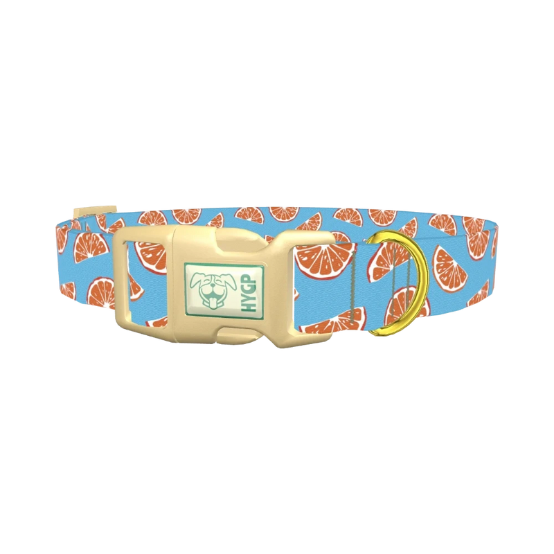 Citrus Slice Dog Collar - plastic gold