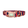 Patriotic Football Dog Collar - plastic rose gold