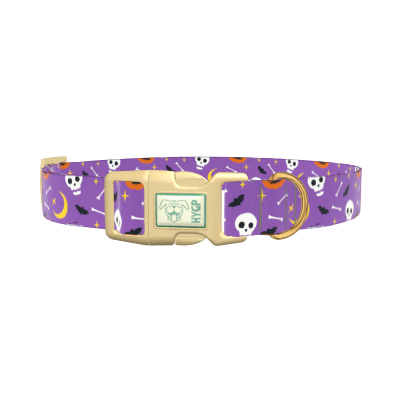 Halloween Moon Dog Collar - plastic silver
