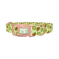 Kiwi Fruit Dog Collar - plastic rose gold