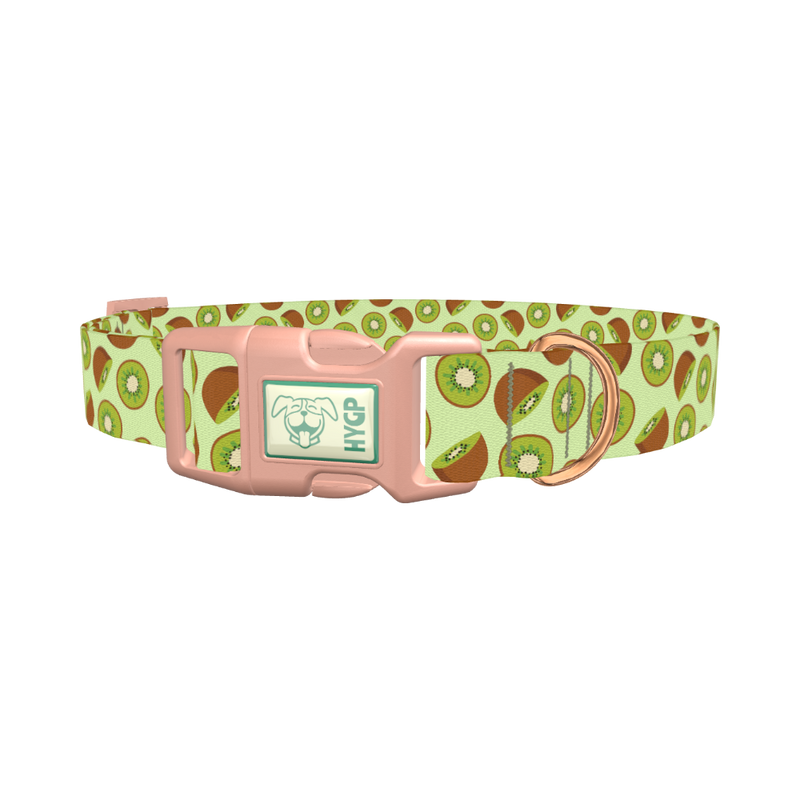 Kiwi Fruit Dog Collar - plastic rose gold