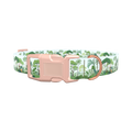 Tropical Jungle Dog Collar - plastic silver