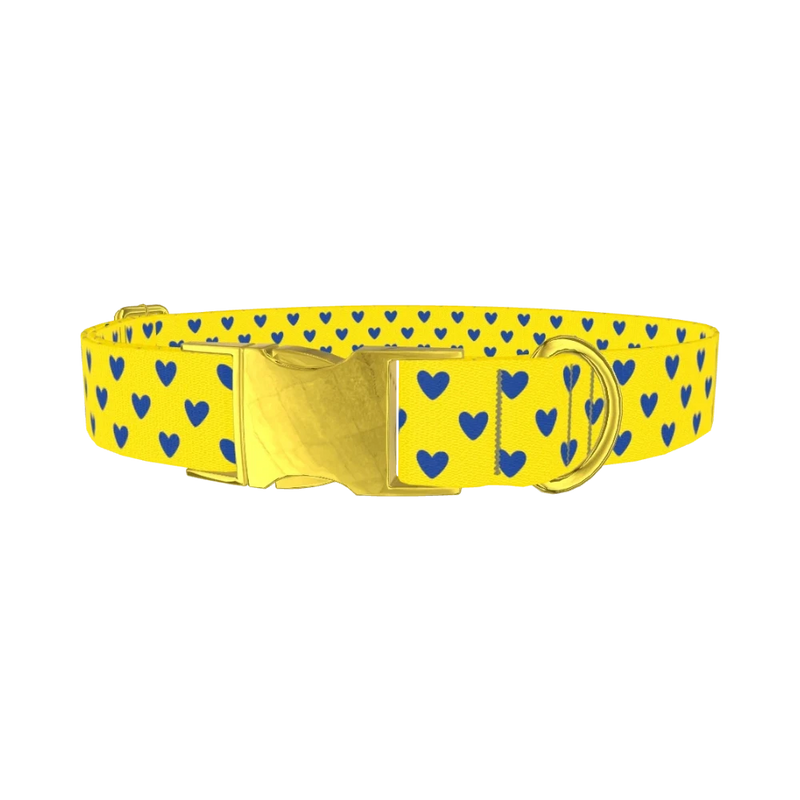 Blue Heart Dog Collar - metal gold