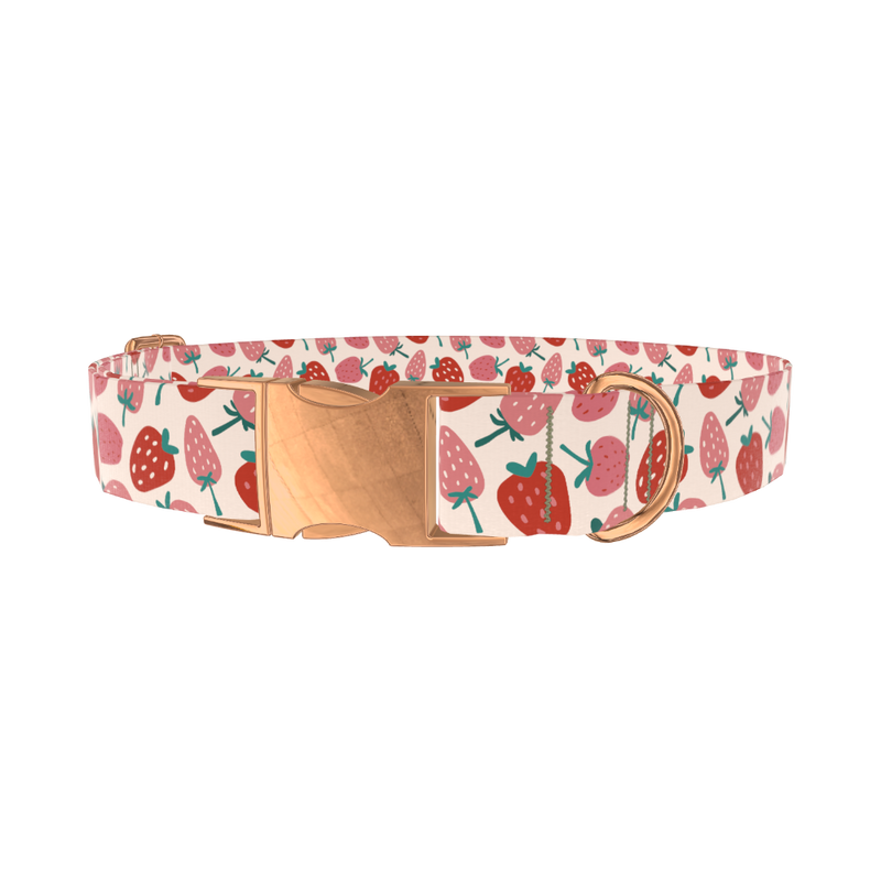 Pink Strawberry Pattern Dog Collar - metal rose gold