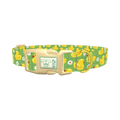 Yellow Duck Pattern Dog Collar - plastic gold