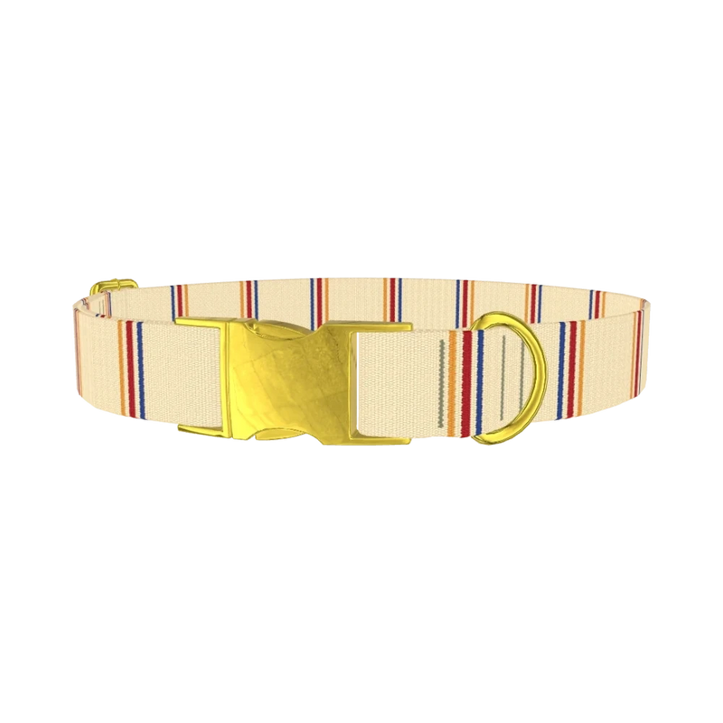 Hexagon Stripe 8870488211671 Dog Collar - metal gold