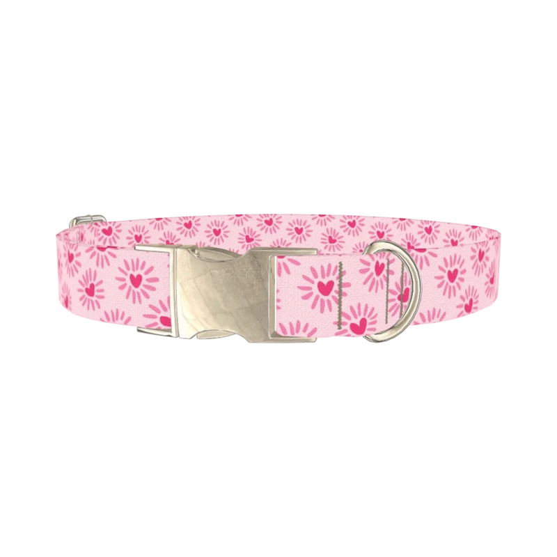 Heart Burst Dog Collar - metal silver