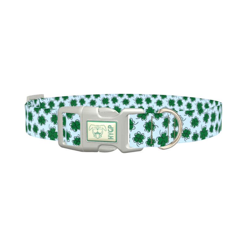 Blue Clover Pattern Dog Collar - plastic silver