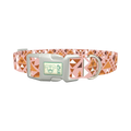 Tribal Triangle Dog Collar - plastic silver
