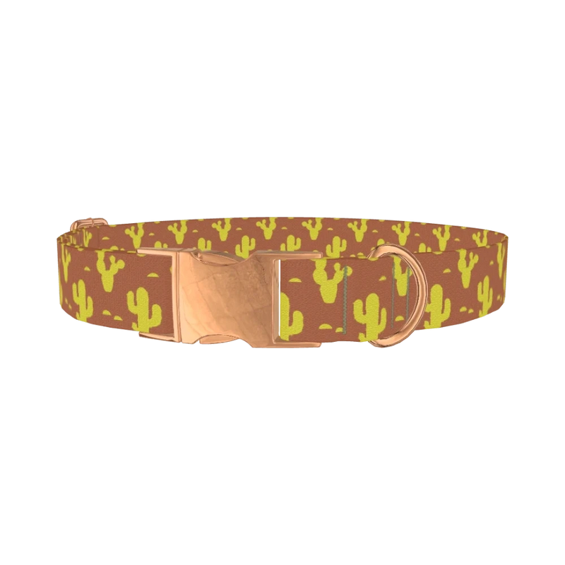 Western Cactus Dog Collar - metal rose gold