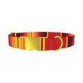 Mexican Red Stripe Dog Collar - metal gold