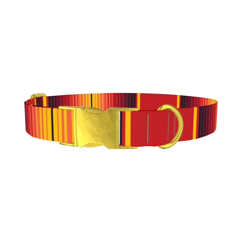 Mexican Red Stripe Dog Collar - metal gold