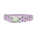 Floral Pansy Dog Collar - plastic silver