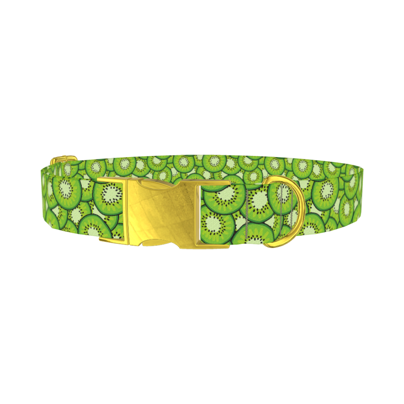 Green Kiwi Slice Dog Collar - metal gold