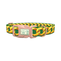 Gold Chain Green Background Dog Collar - plastic rose gold